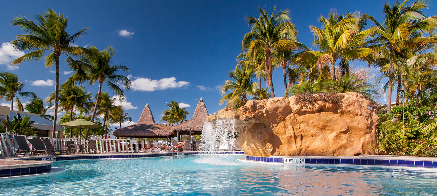 hotels pool with palm trees and water fall
