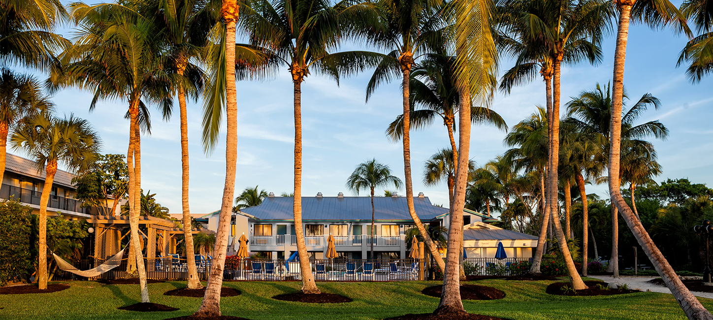 A house with palm trees in front of it.