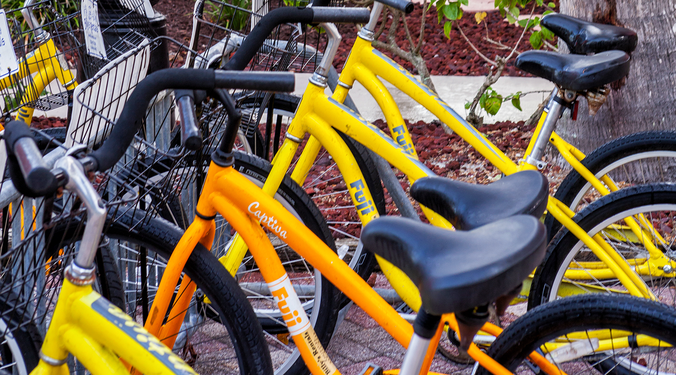 A group of yellow bicycles parked next to each other.