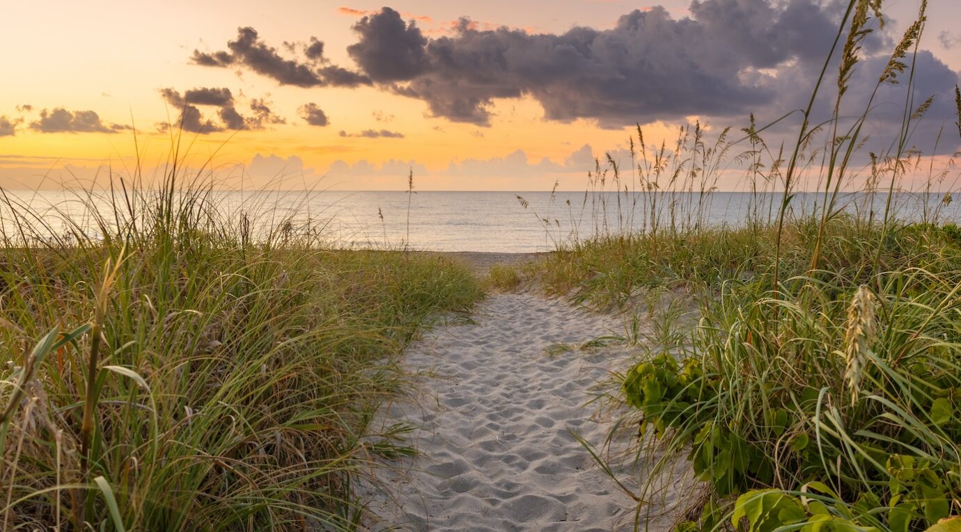 A sandy path surrounded by tall grasses leads to a calm ocean under a cloudy sunset sky.