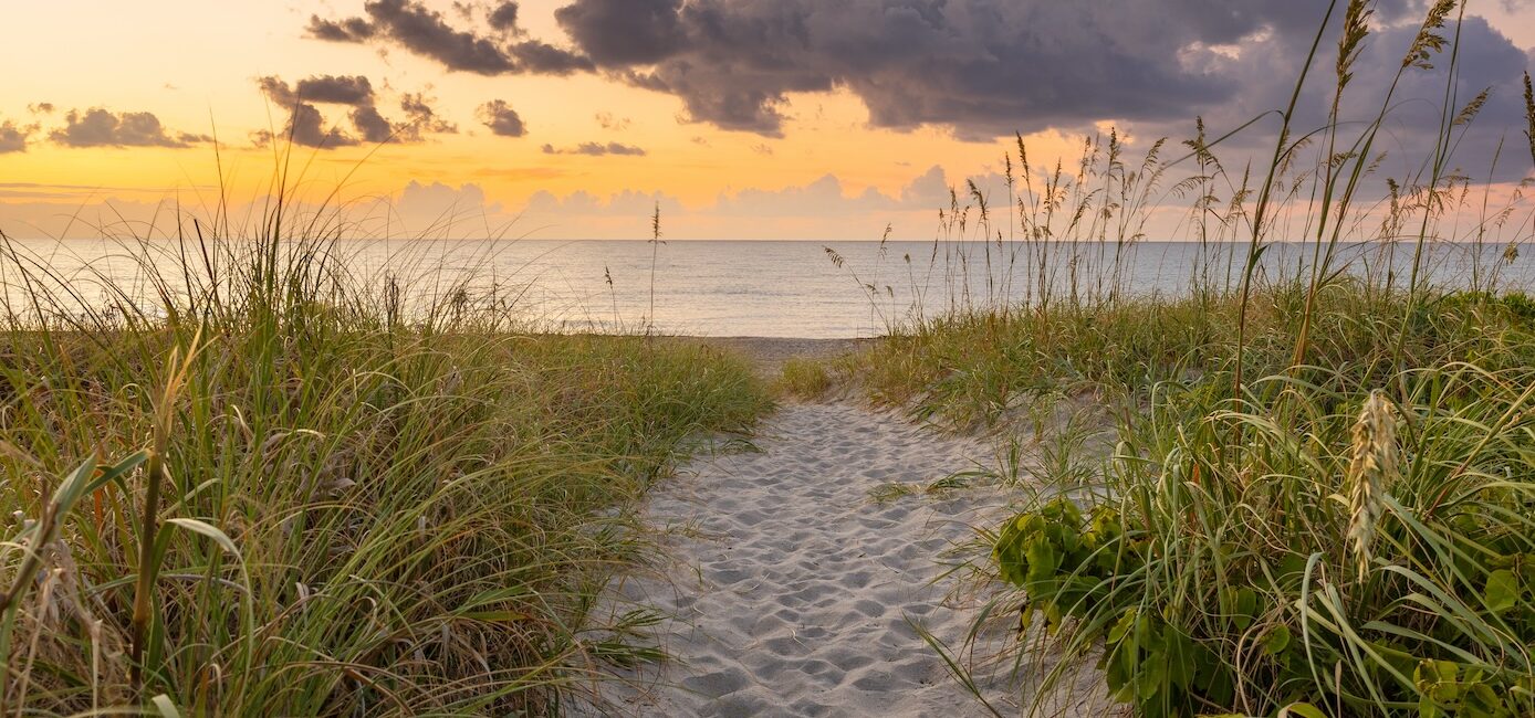 A sandy path surrounded by tall grasses leads to a calm ocean under a cloudy sunset sky.