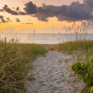 A sandy path surrounded by tall grasses leads to a calm ocean under a cloudy sunset sky.