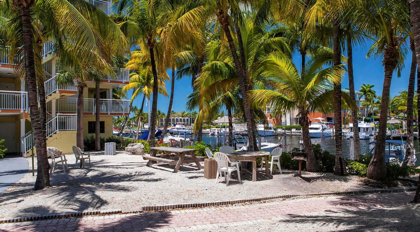 A patio area with palm trees and a boat docked in the water.
