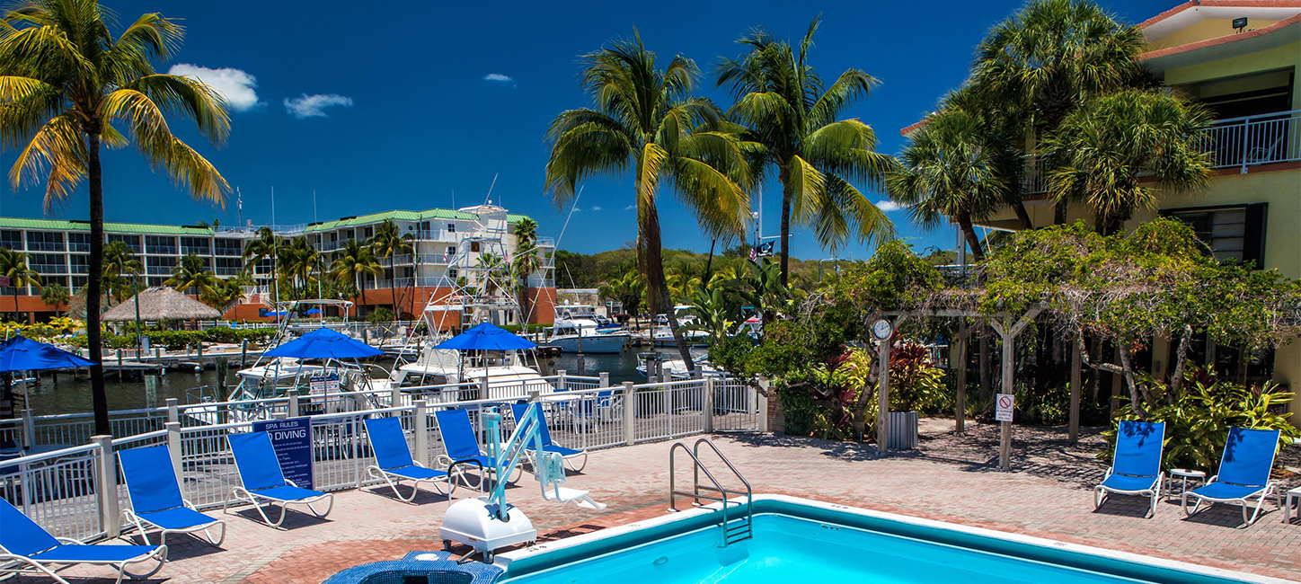 A pool surrounded by palm trees and palm trees.
