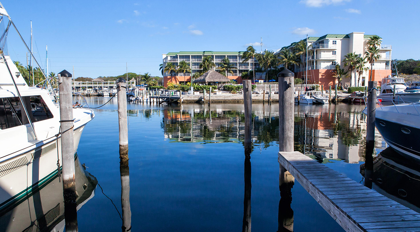 A group of boats docked at a marina.