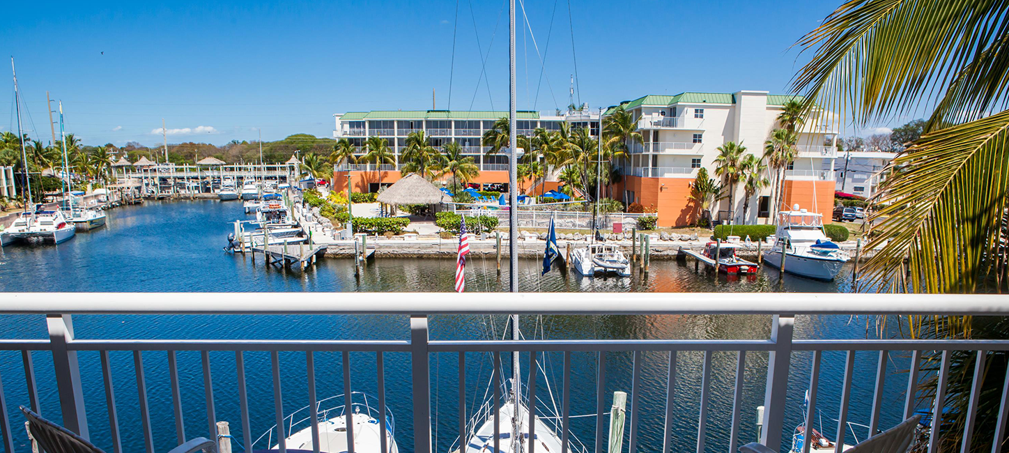 A view of a marina with boats docked in it.