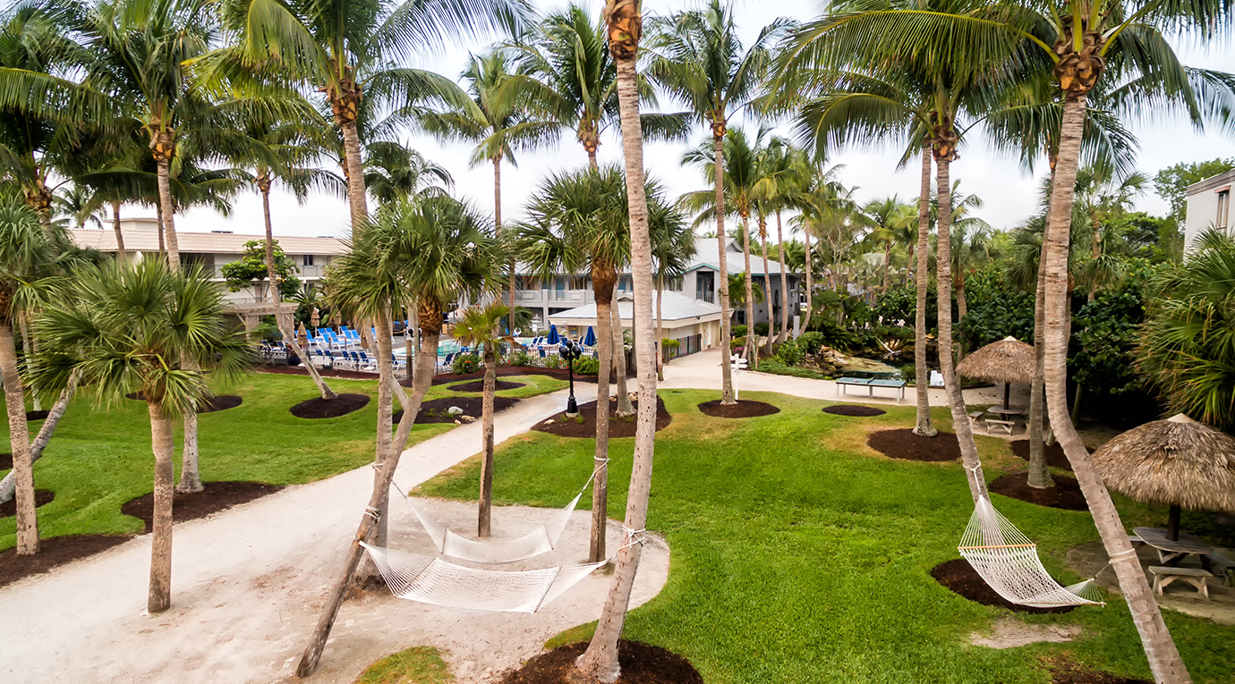 An aerial view of a resort with palm trees and hammocks.