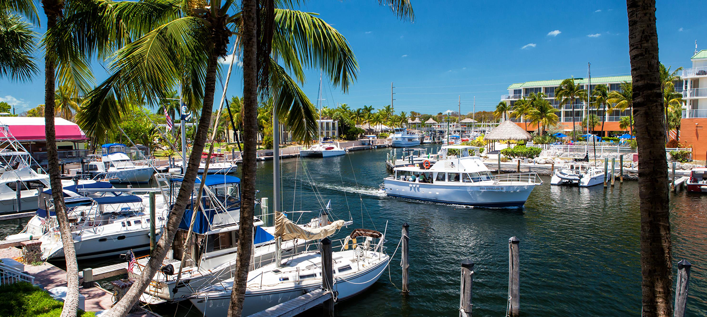 A boat docked in a marina with palm trees.