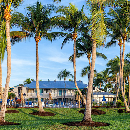 A lawn with palm trees in front of a hotel.