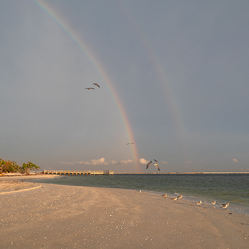 A rainbow in the sky.