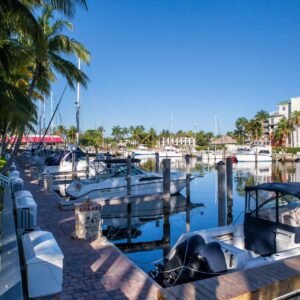 Marina with boats docked, palm trees along a paved walkway, and buildings in the background under a clear blue sky.