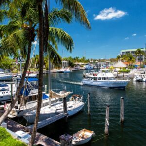 Marina with various boats docked under clear skies, surrounded by palm trees and nearby colorful buildings.