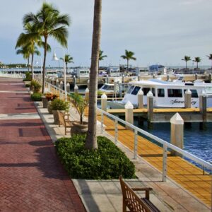 A scenic marina with docked boats, a paved walkway lined with palm trees and benches, and a clear blue sky above.