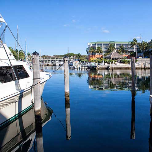 A boat is docked at a marina with calm water reflecting nearby buildings and palm trees under a clear blue sky.
