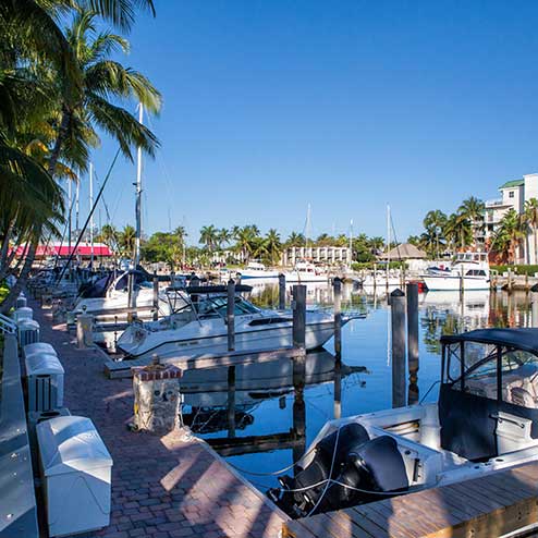 A marina with multiple boats docked, surrounded by palm trees and buildings, under a clear blue sky.