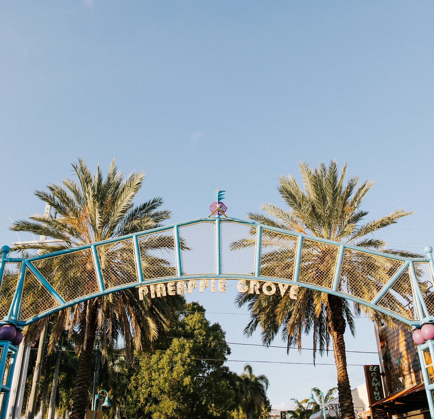 Pineapple Grove sign in Delray Beach, FL