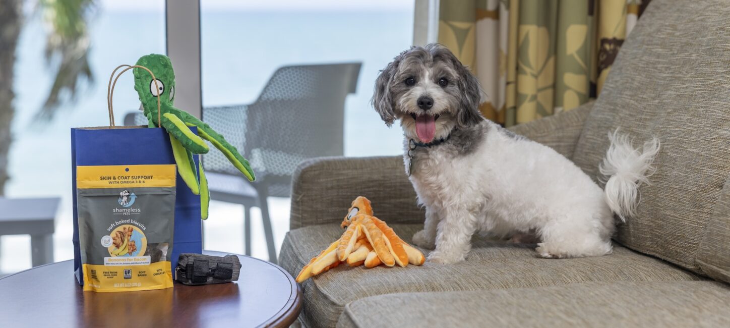 Ocean Breeze Inn Vero Dog in room with toys and treats